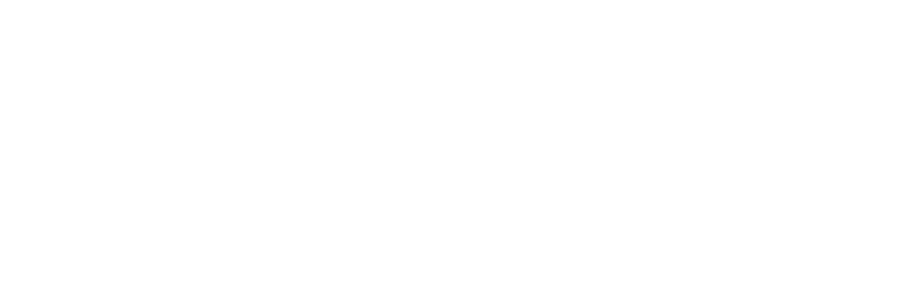 BICSA-CA Group